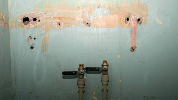 Reliable AR Water damage restoration Solutions